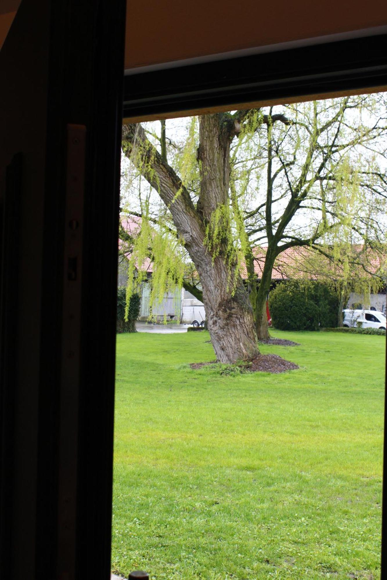 Weitblick - Ruhepol In Muensterlaender Parklandschaft Apartment Dülmen Екстериор снимка